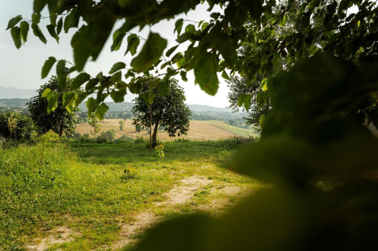 Tenuta I Gelsi Bed & Breakfast Benevento Dış mekan fotoğraf